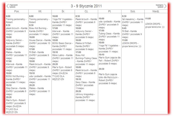 plan_na_styczen2011.jpg